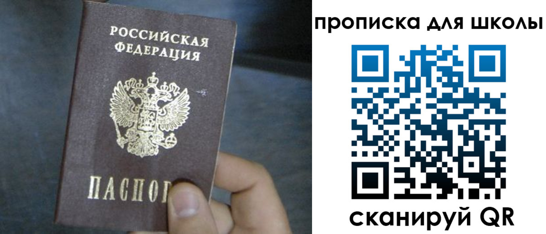 прописка поиск в Заринске